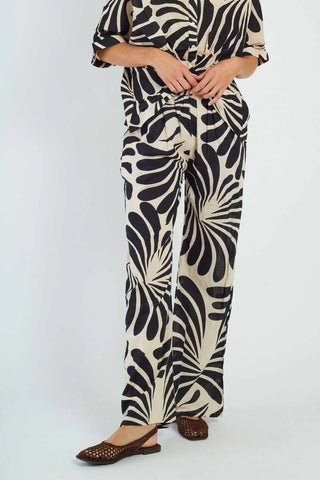 Conjunto Walter