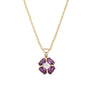 Morado